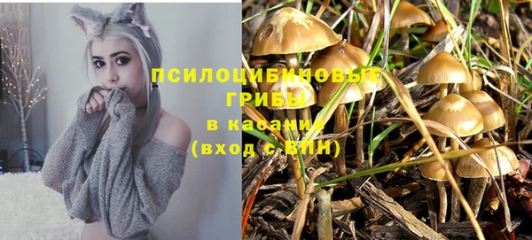 тгк Абинск