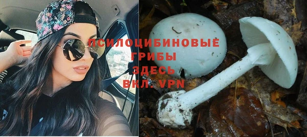 кокаин колумбия Алексеевка